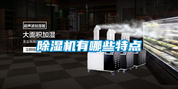 除濕機有哪些特點