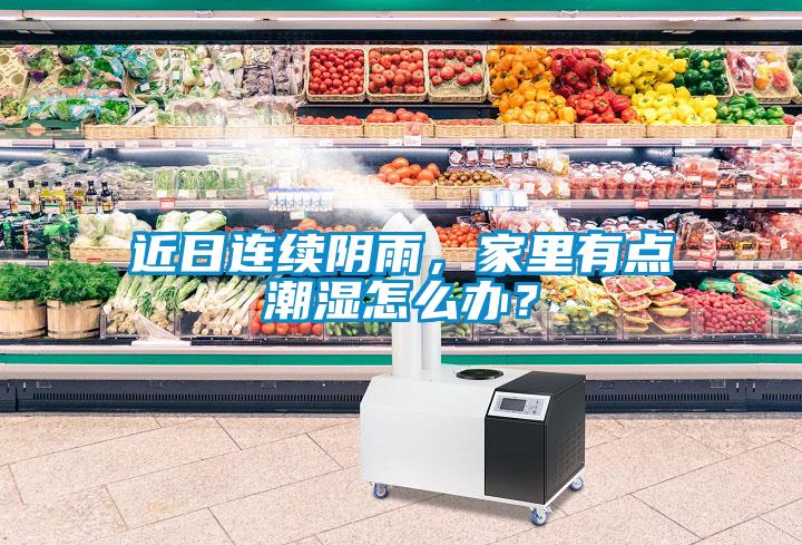 近日連續(xù)陰雨，家里有點(diǎn)潮濕怎么辦？