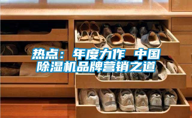 熱點(diǎn)：年度力作 中國除濕機(jī)品牌營銷之道