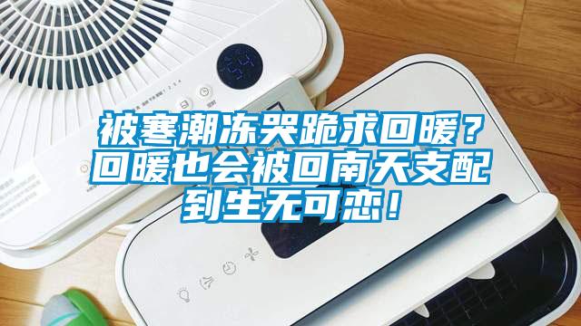 被寒潮凍哭跪求回暖？回暖也會(huì)被回南天支配到生無(wú)可戀！