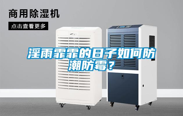 淫雨霏霏的日子如何防潮防霉？