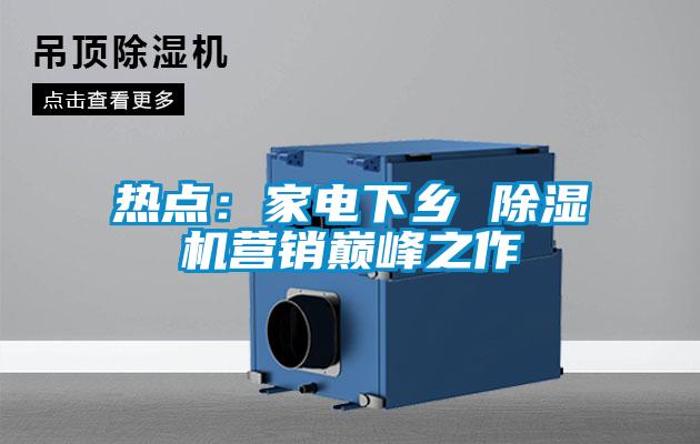 熱點：家電下鄉(xiāng) 除濕機營銷巔峰之作