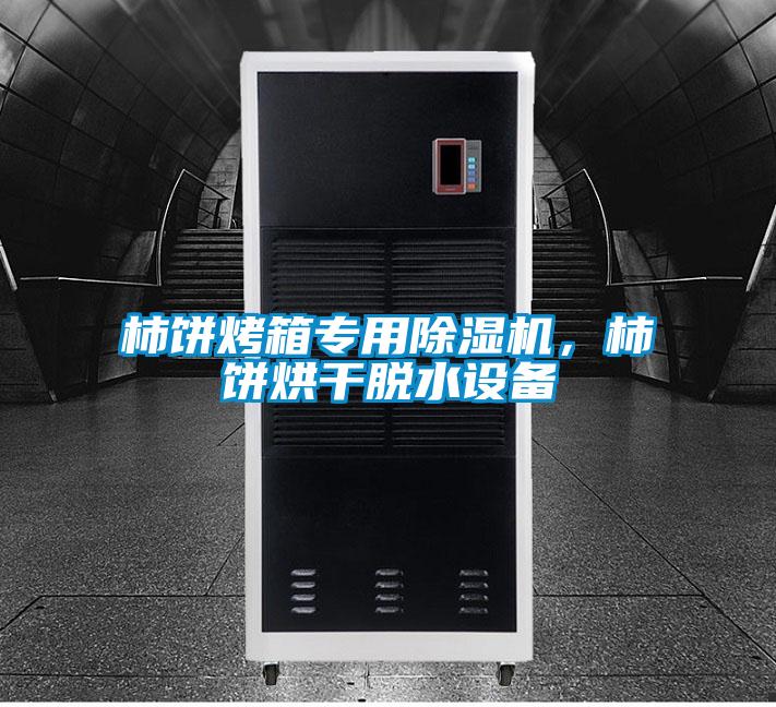 柿餅烤箱專用除濕機(jī)，柿餅烘干脫水設(shè)備