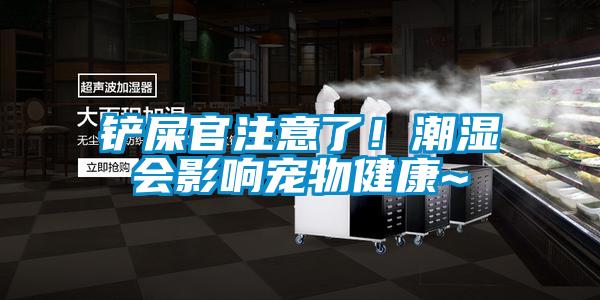 鏟屎官注意了！潮濕會影響寵物健康~
