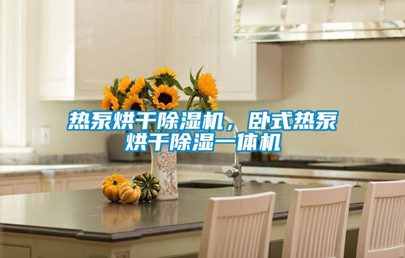 熱泵烘干除濕機(jī)，臥式熱泵烘干除濕一體機(jī)