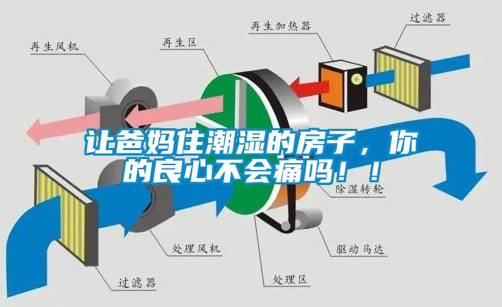 讓爸媽住潮濕的房子，你的良心不會痛嗎??！