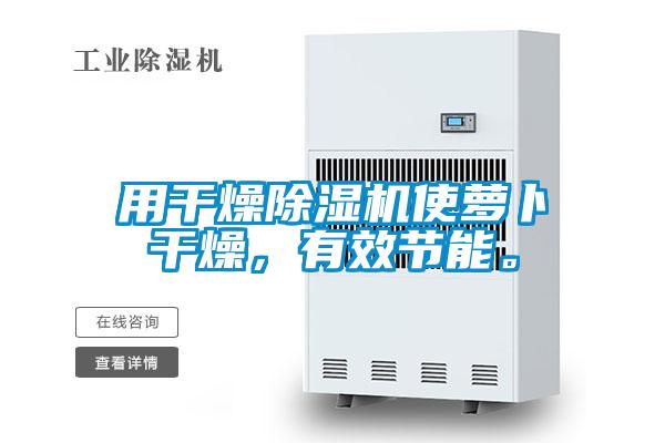 用干燥除濕機使蘿卜干燥，有效節(jié)能。