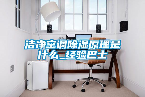 潔凈空調(diào)除濕原理是什么_經(jīng)驗巴士