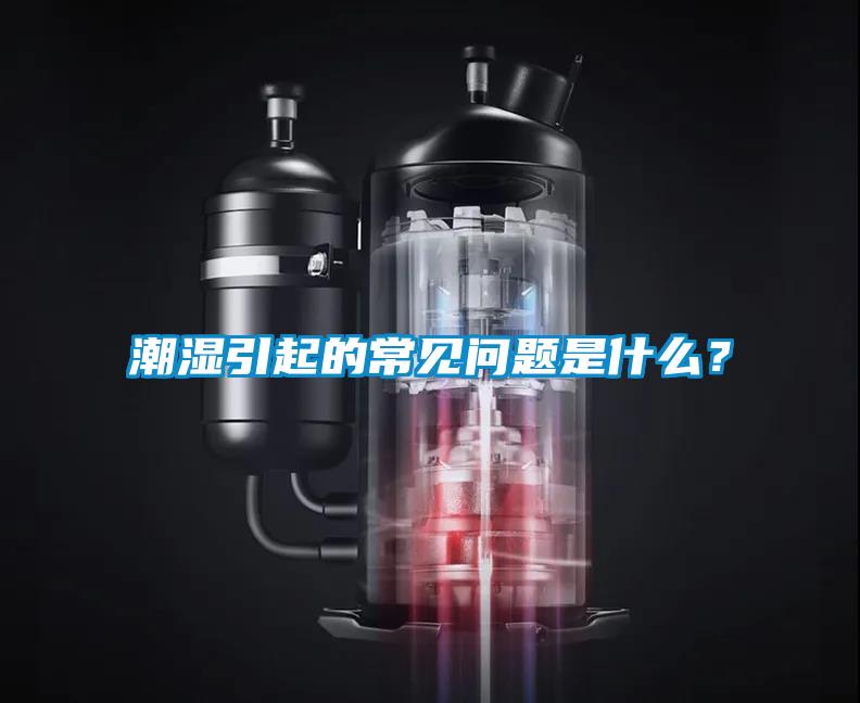 潮濕引起的常見問題是什么？