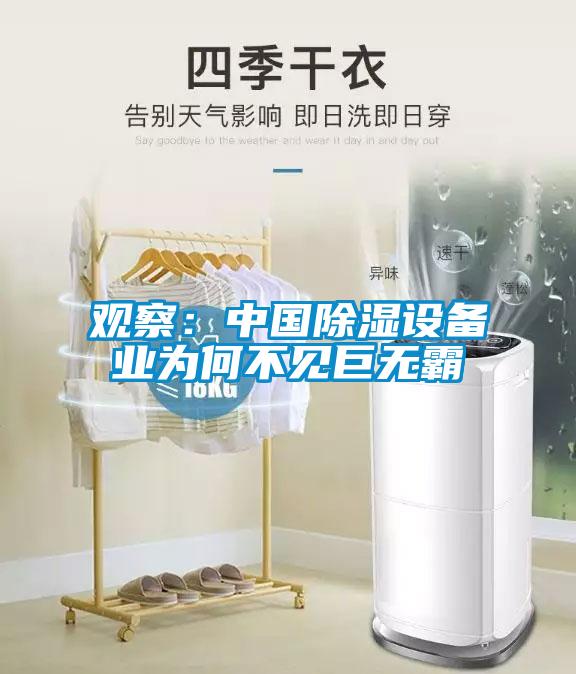 觀察：中國除濕設(shè)備業(yè)為何不見巨無霸