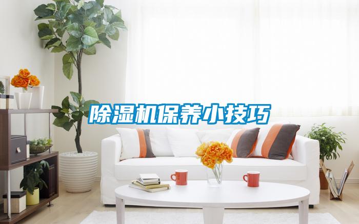 除濕機(jī)保養(yǎng)小技巧