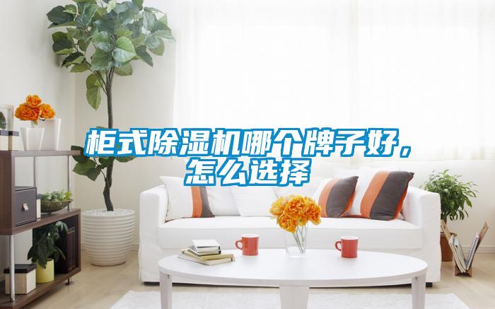 柜式除濕機(jī)哪個(gè)牌子好，怎么選擇