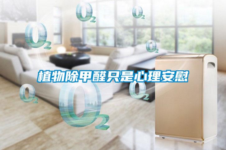 植物除甲醛只是心理安慰