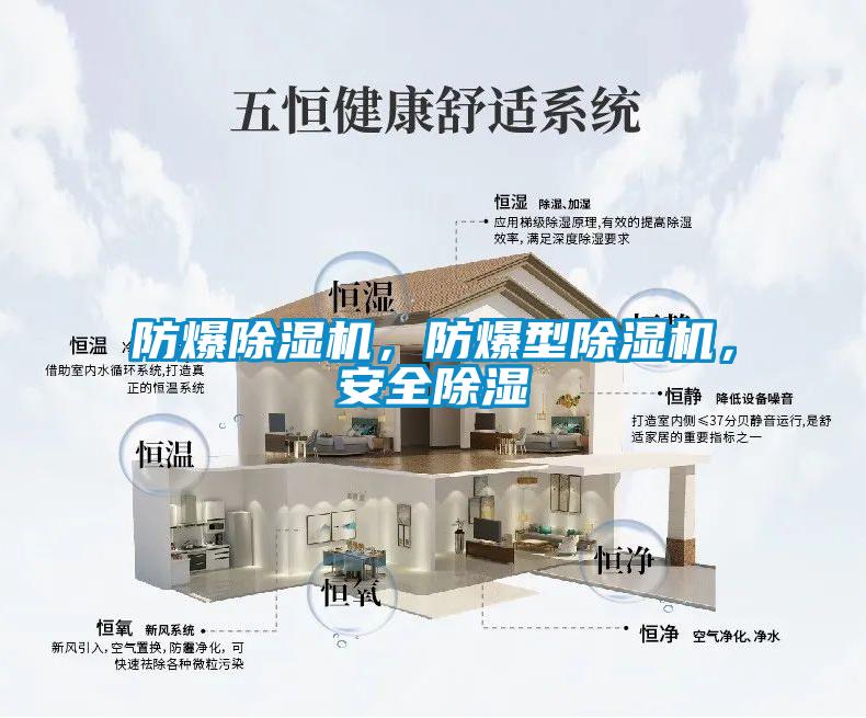 防爆除濕機(jī)，防爆型除濕機(jī)，安全除濕