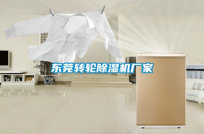 東莞轉(zhuǎn)輪除濕機(jī)廠家