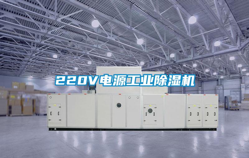 220V電源工業(yè)除濕機