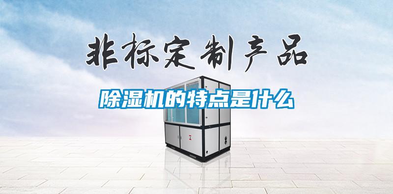 除濕機(jī)的特點(diǎn)是什么