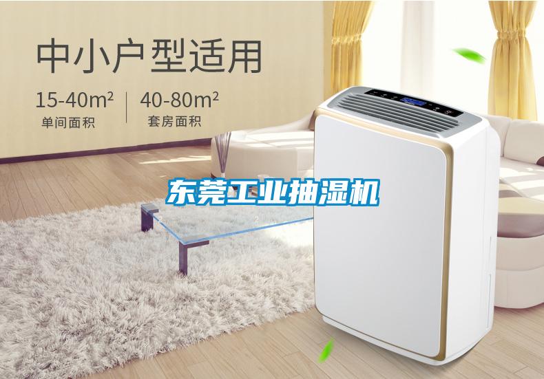 東莞工業(yè)抽濕機