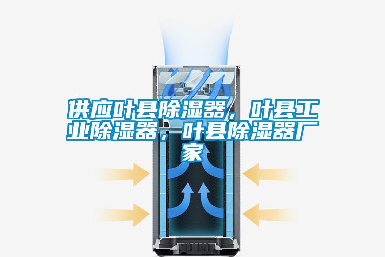 供應(yīng)葉縣除濕器，葉縣工業(yè)除濕器，葉縣除濕器廠家