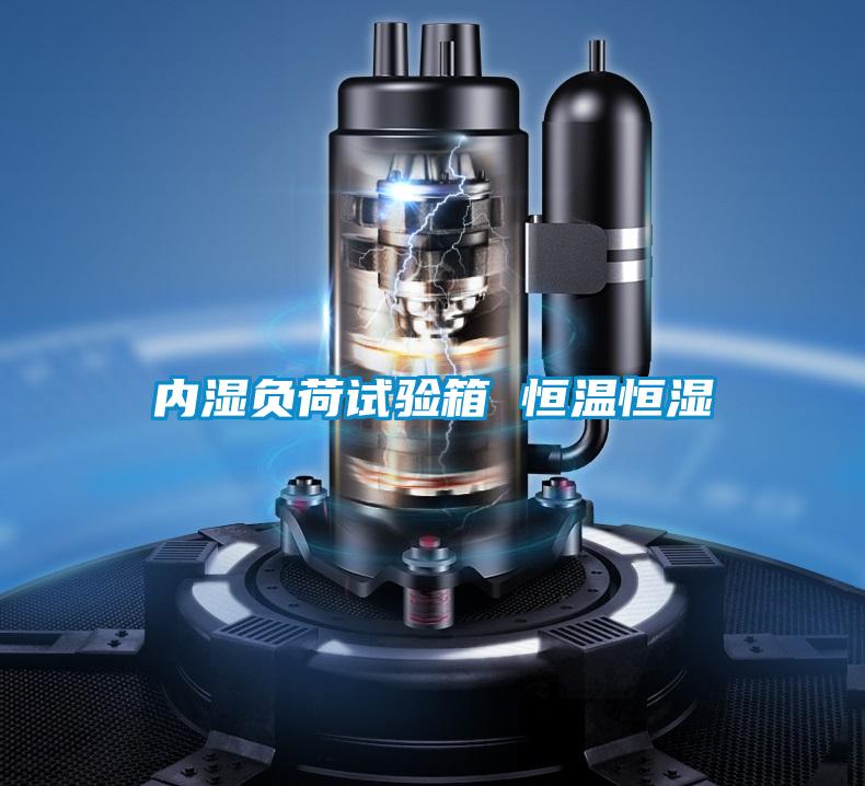 內(nèi)濕負(fù)荷試驗箱 恒溫恒濕