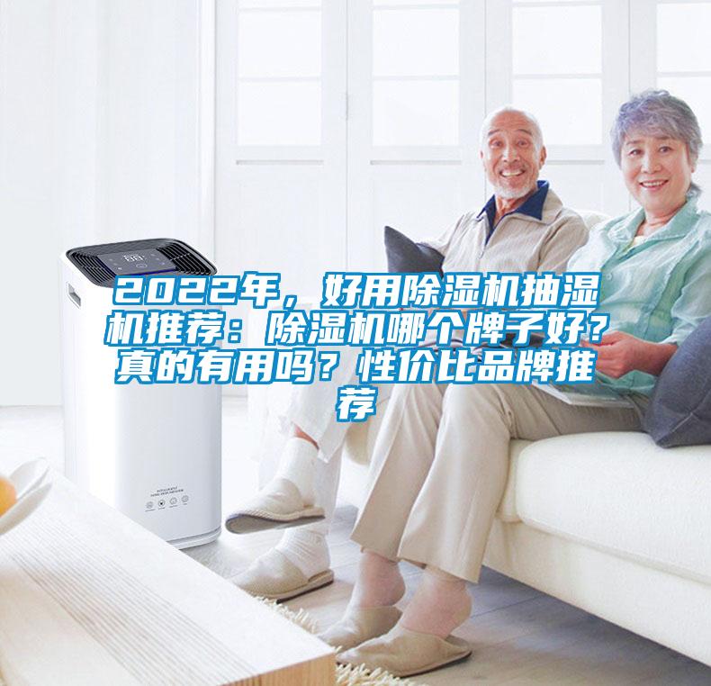 2022年，好用除濕機(jī)抽濕機(jī)推薦：除濕機(jī)哪個牌子好？真的有用嗎？性價比品牌推薦