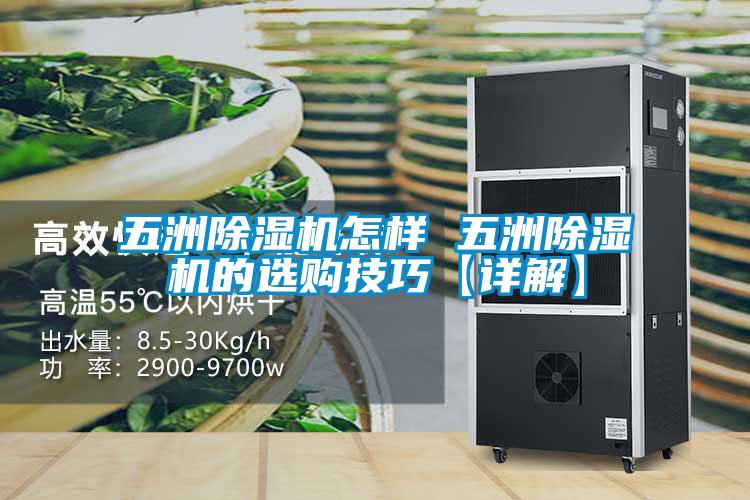 五洲除濕機(jī)怎樣 五洲除濕機(jī)的選購(gòu)技巧【詳解】