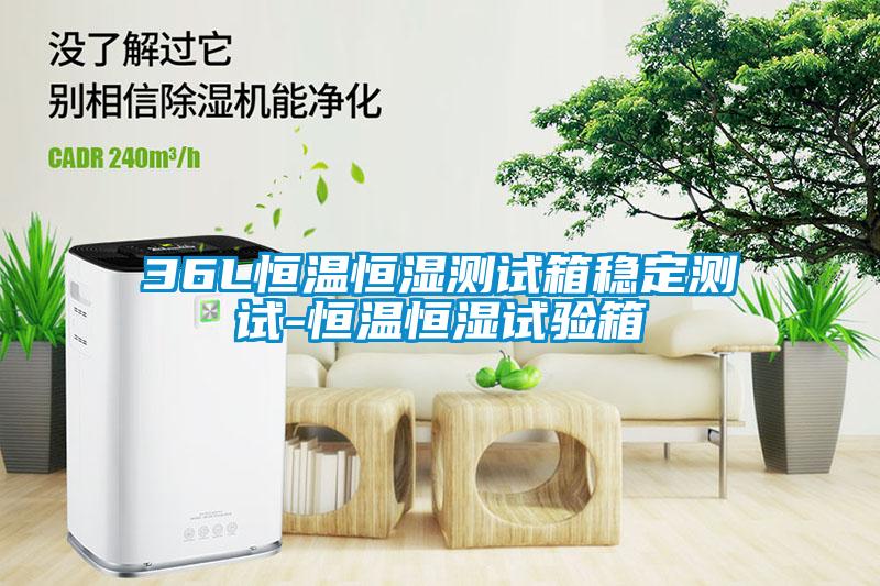 36L恒溫恒濕測試箱穩(wěn)定測試-恒溫恒濕試驗箱