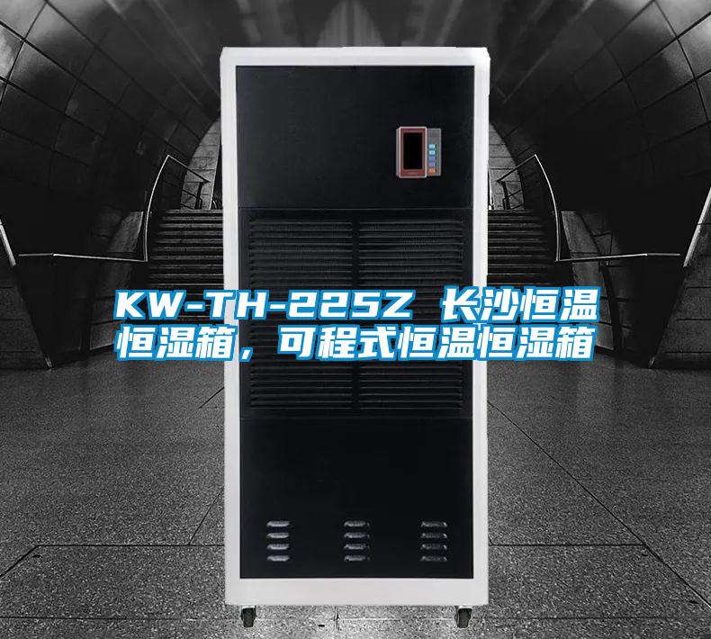 KW-TH-225Z 長(zhǎng)沙恒溫恒濕箱，可程式恒溫恒濕箱