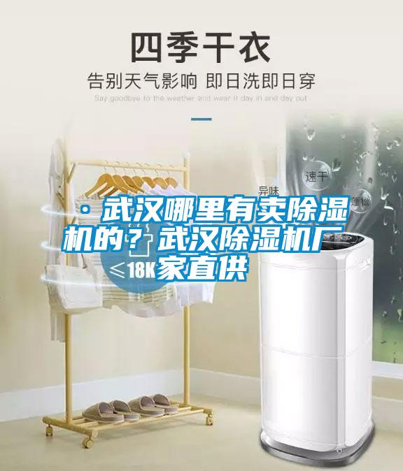 ·武漢哪里有賣除濕機的？武漢除濕機廠家直供