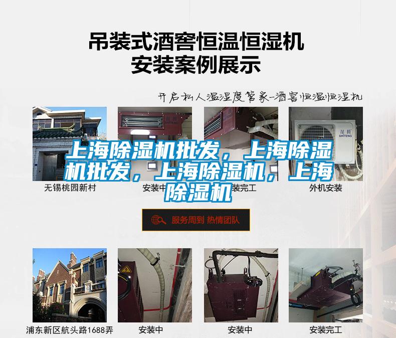 上海除濕機批發(fā)，上海除濕機批發(fā)，上海除濕機，上海除濕機