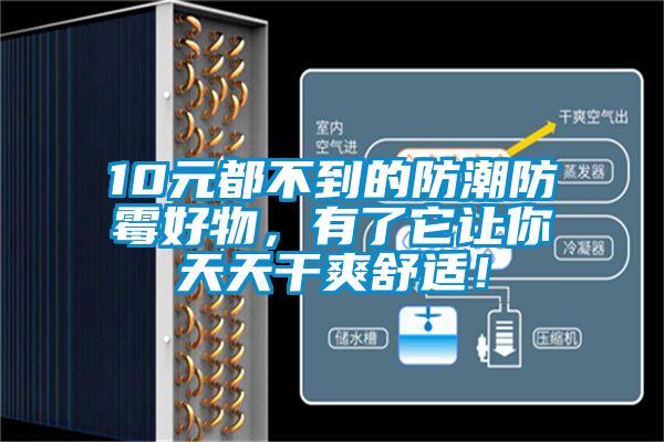 10元都不到的防潮防霉好物，有了它讓你天天干爽舒適！