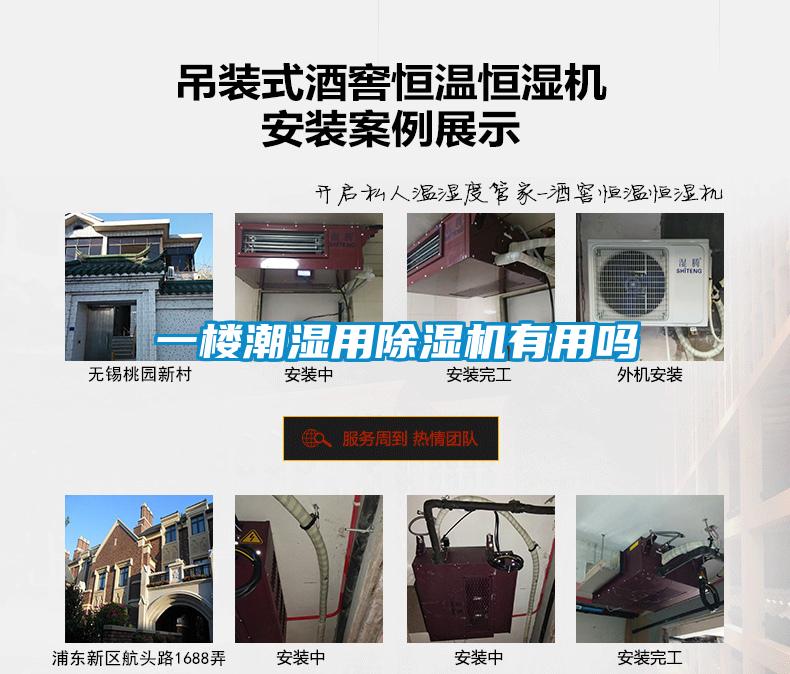 一樓潮濕用除濕機有用嗎