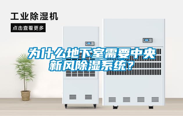 為什么地下室需要中央新風(fēng)除濕系統(tǒng)？