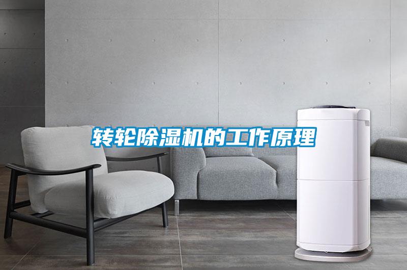 轉(zhuǎn)輪除濕機(jī)的工作原理