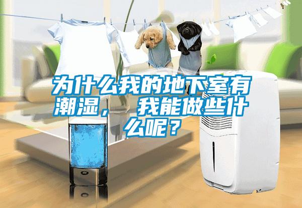 為什么我的地下室有潮濕， 我能做些什么呢？
