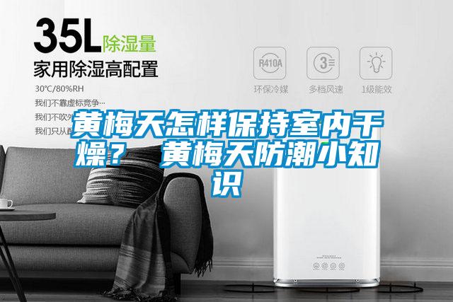 黃梅天怎樣保持室內(nèi)干燥？ 黃梅天防潮小知識(shí)
