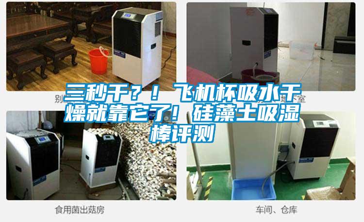 三秒干？! 飛機杯吸水干燥就靠它了! 硅藻土吸濕棒評測