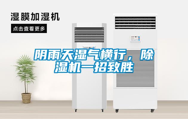 陰雨天濕氣橫行，除濕機(jī)一招致勝