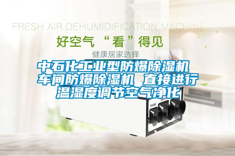 中石化工業(yè)型防爆除濕機 車間防爆除濕機 直接進行溫濕度調節(jié)空氣凈化