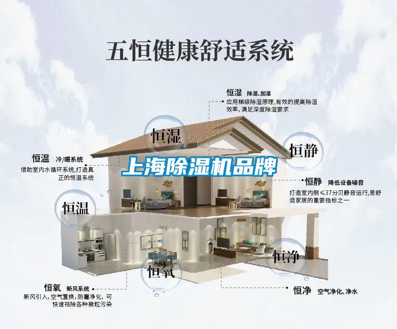 上海除濕機(jī)品牌