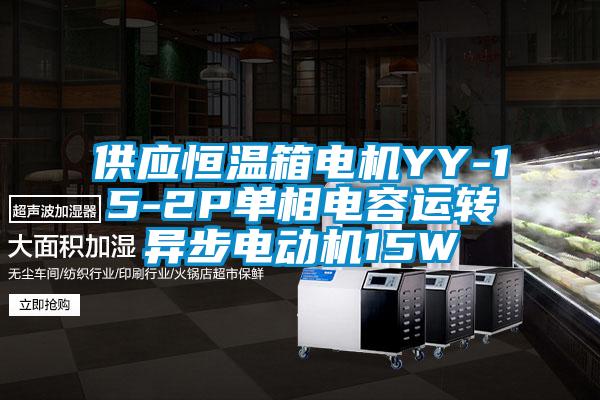 供應(yīng)恒溫箱電機(jī)YY-15-2P單相電容運(yùn)轉(zhuǎn)異步電動(dòng)機(jī)15W