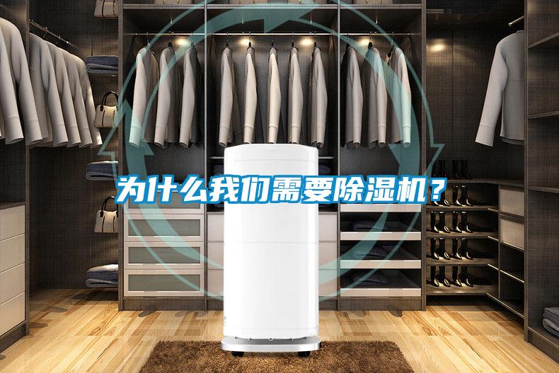 為什么我們需要除濕機？