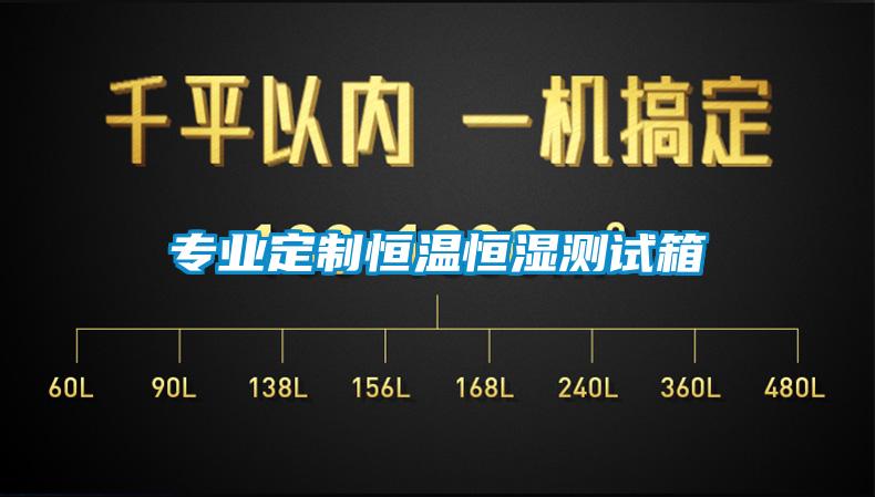 專(zhuān)業(yè)定制恒溫恒濕測(cè)試箱