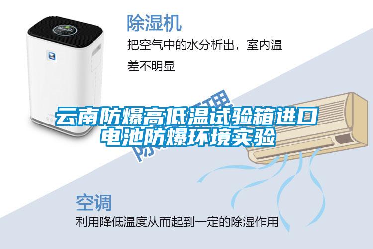 云南防爆高低溫試驗箱進口電池防爆環(huán)境實驗