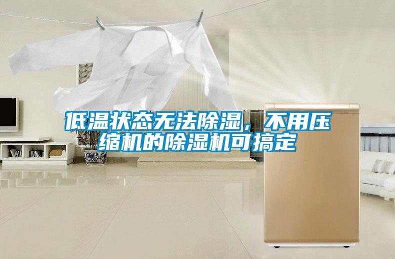 低溫狀態(tài)無法除濕，不用壓縮機的除濕機可搞定