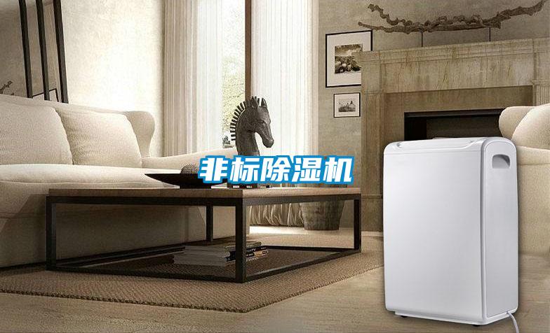 非標除濕機