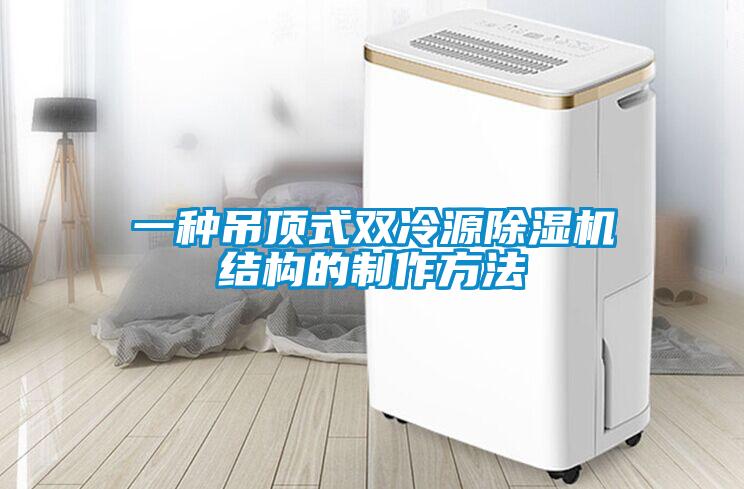 一種吊頂式雙冷源除濕機結構的制作方法