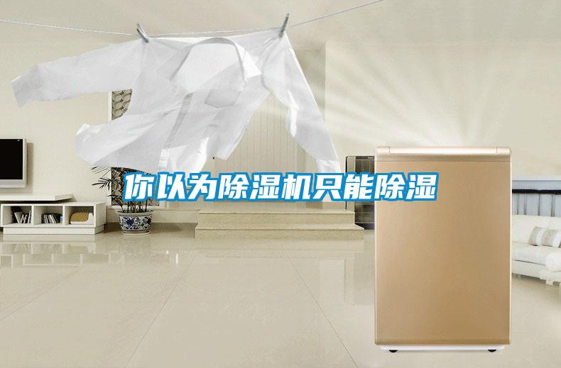 你以為除濕機(jī)只能除濕