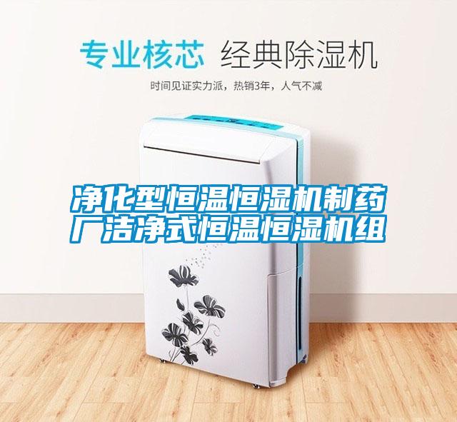 凈化型恒溫恒濕機(jī)制藥廠潔凈式恒溫恒濕機(jī)組