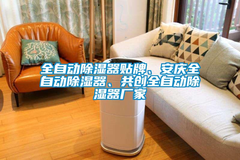 全自動除濕器貼牌、安慶全自動除濕器、共創(chuàng)全自動除濕器廠家